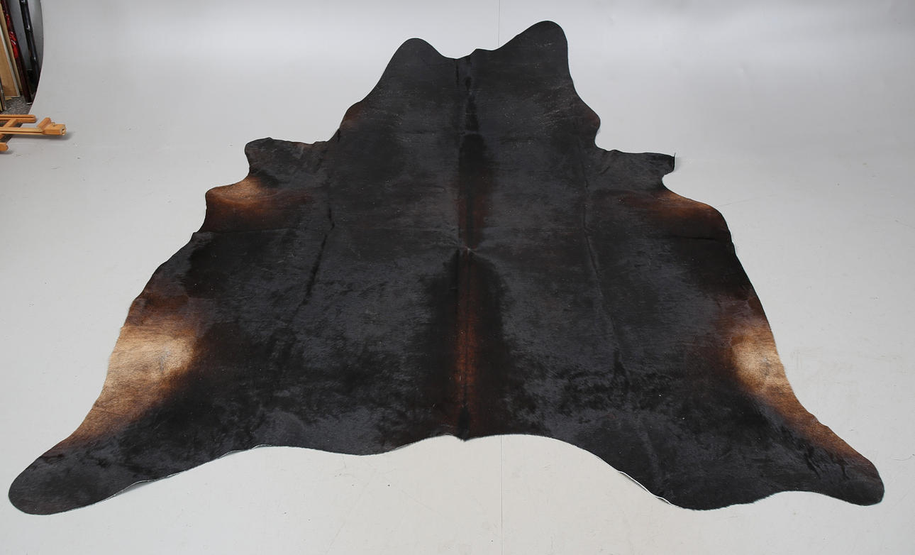 MATTA, kohud, svart, Brasilien.