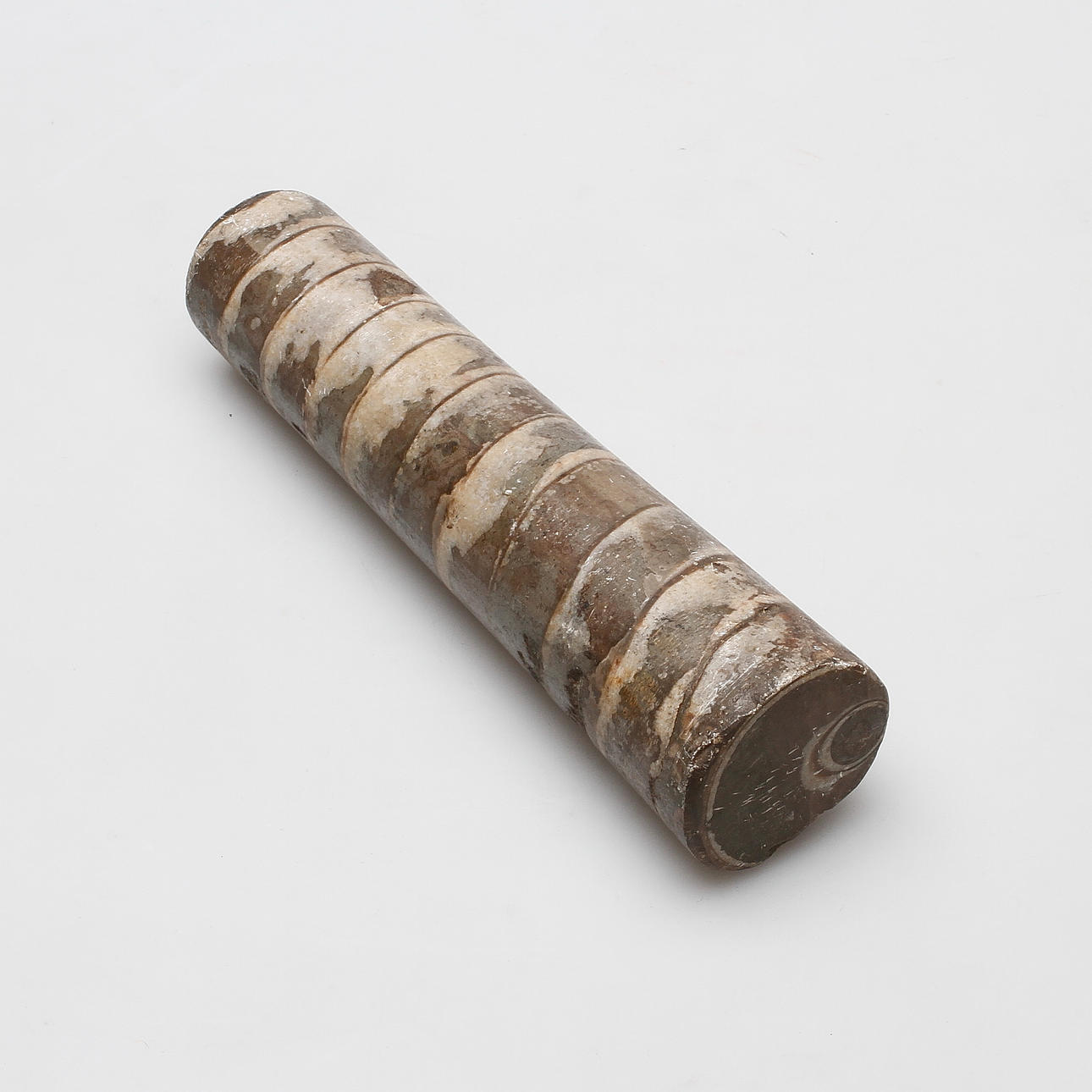 FOSSIL.