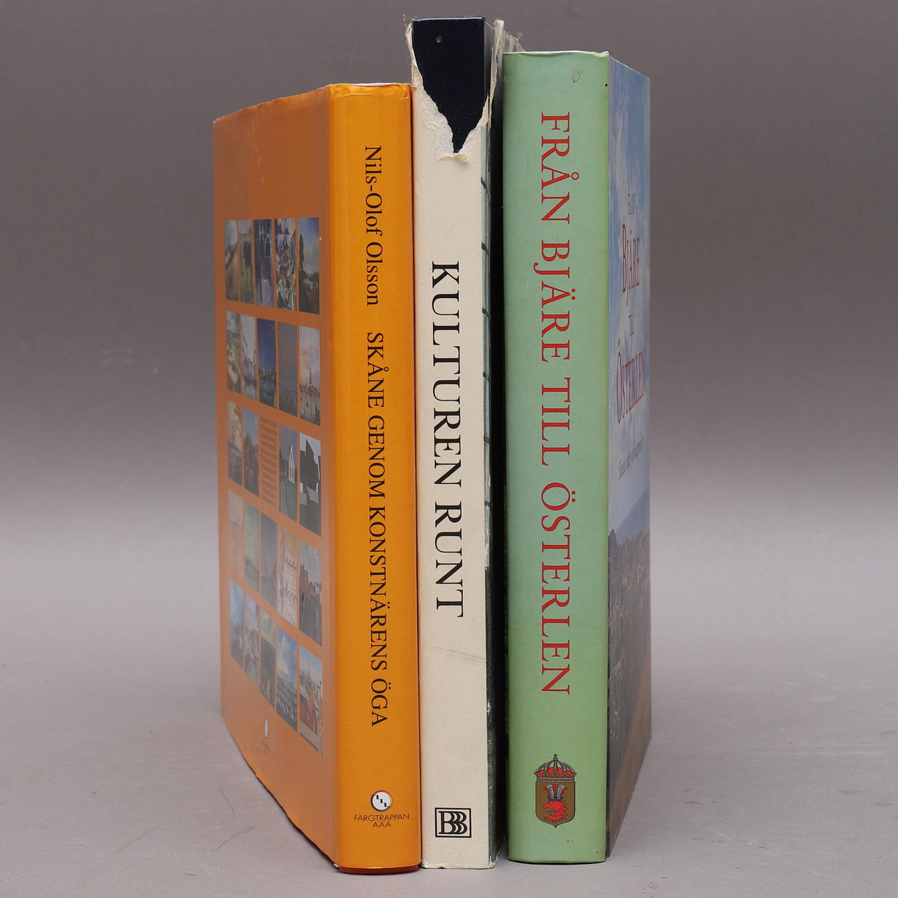 BÖCKER OM SKÅNE, 3 st, konst & kultur.