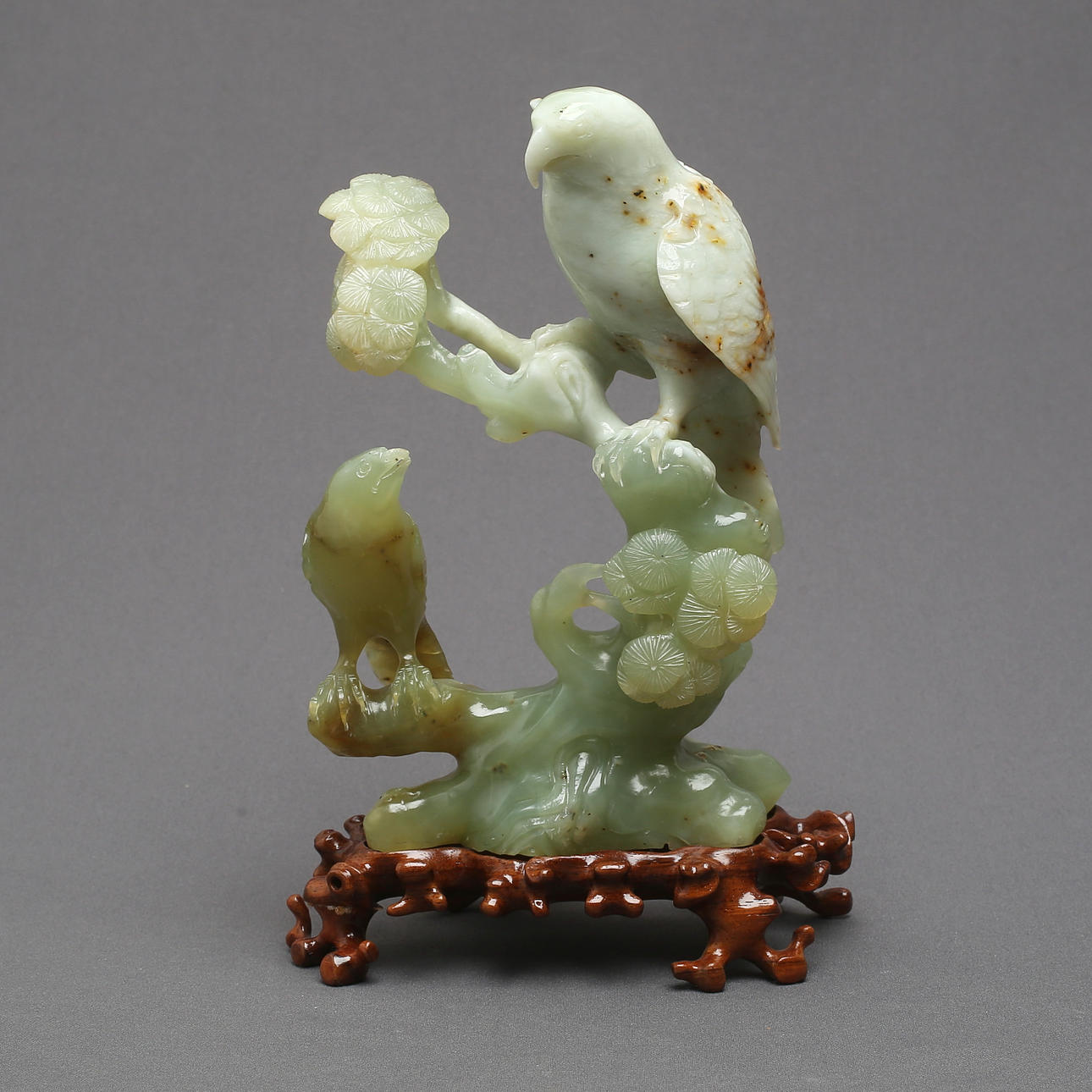 VEISTOS, kivi, linnut, itämainen.