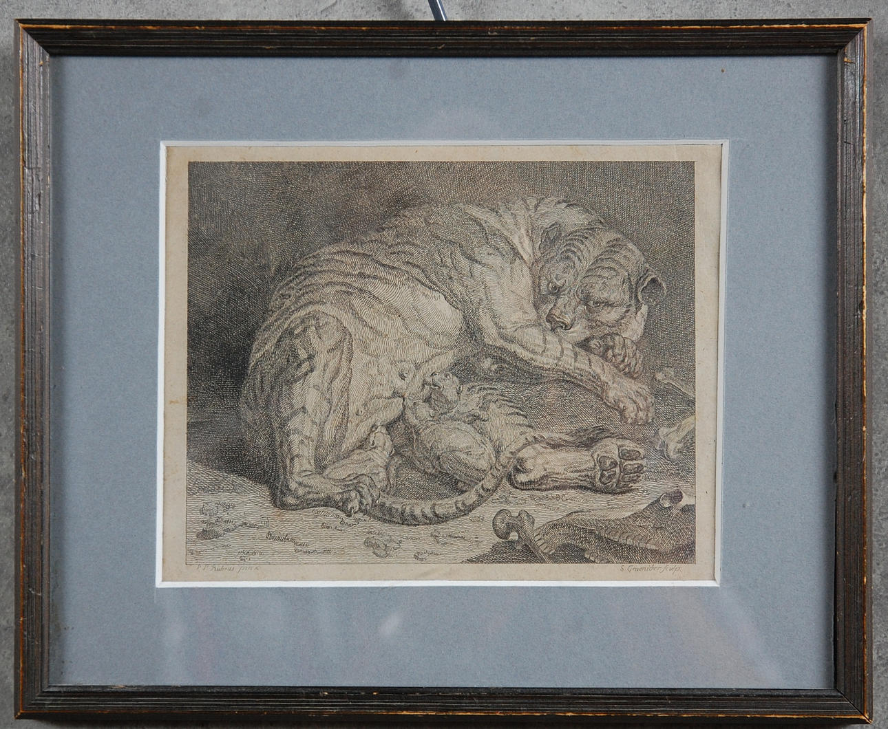 PETER PAUL RUBENS. EFTER. kopparstick, " Diande tigerungar " 17-1800-tal.