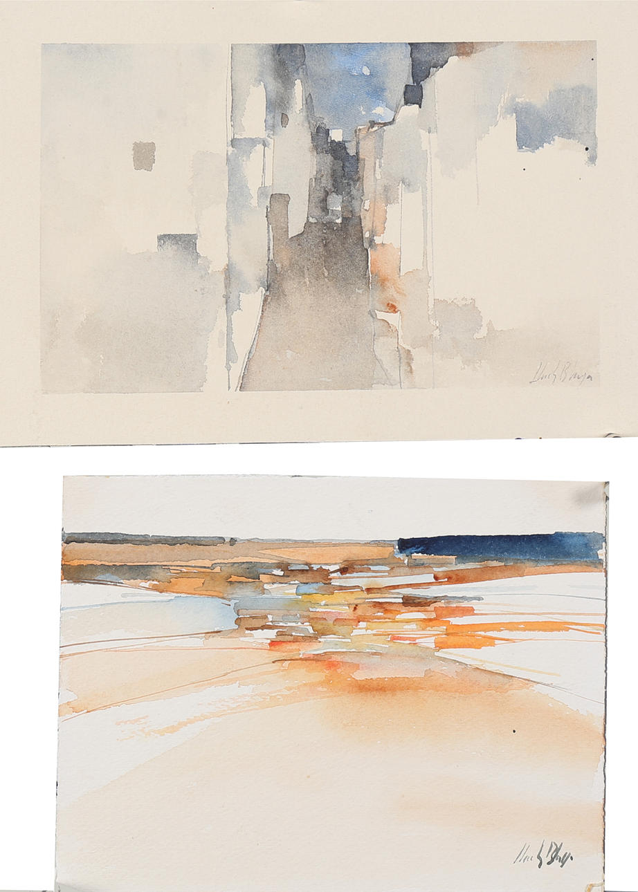 ALBERT LLUCH BLAYA. Paisajes.