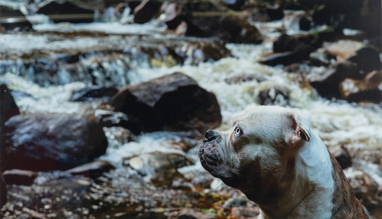 LARS JORDAN. Against the Stream.