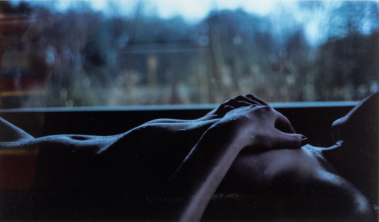 LARS JORDAN. Gatos VI.