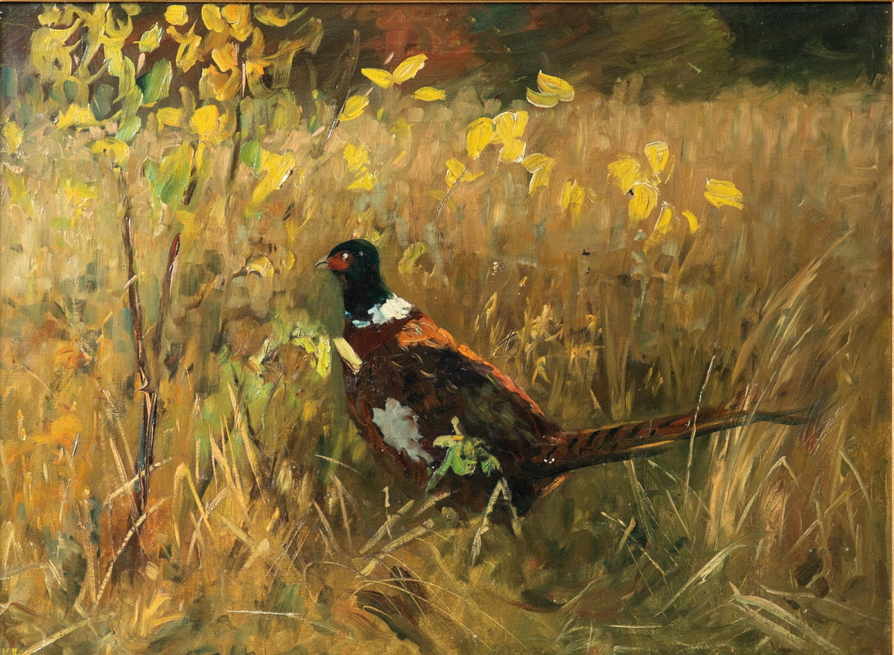 GUIDO VON MAFFEI (1838-C.1898). pheasant.