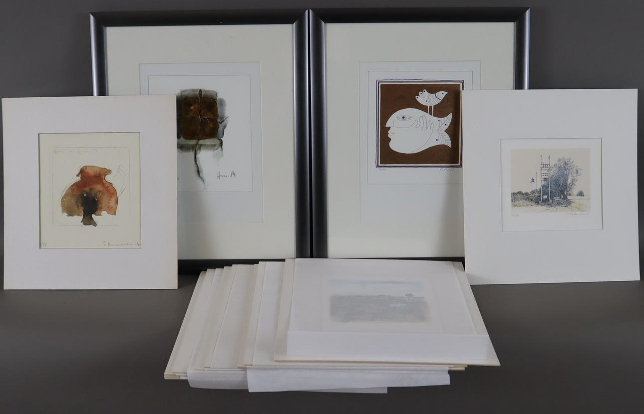 - Samling af moderne grafik - 12 offset litografier.