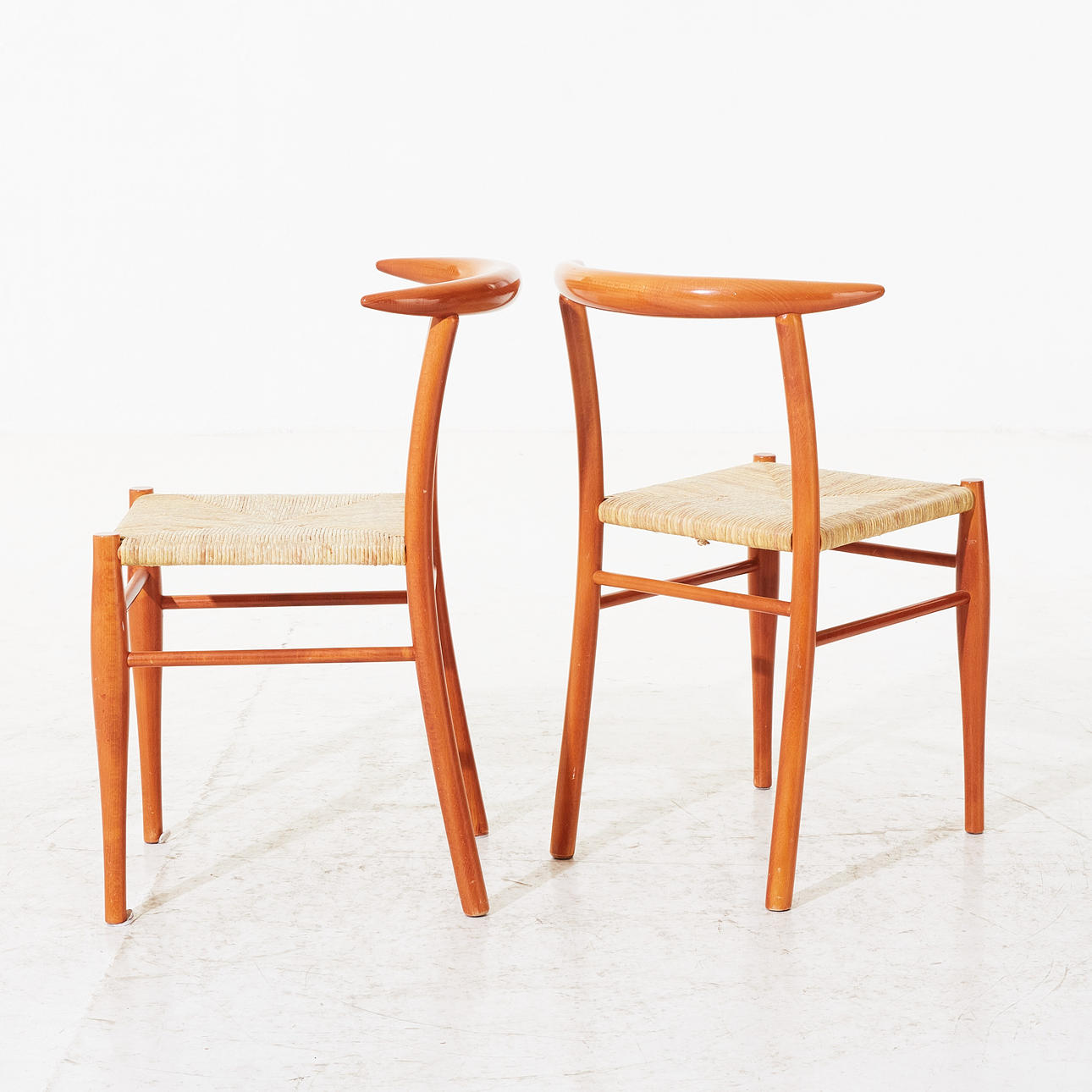 ドリアデ/driade ALEPH Tessa Nature chair Philippe Starck: set of vintage Tessa Nature chairs by