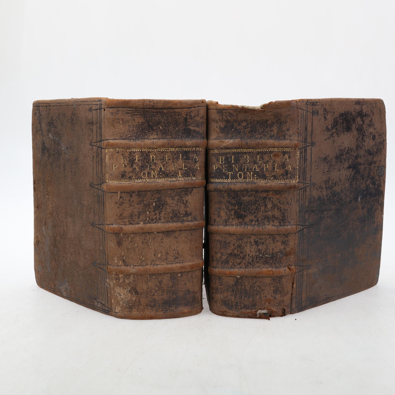 BIBEL, 2 Stk., "Biblia pentapla", 1711-1712.