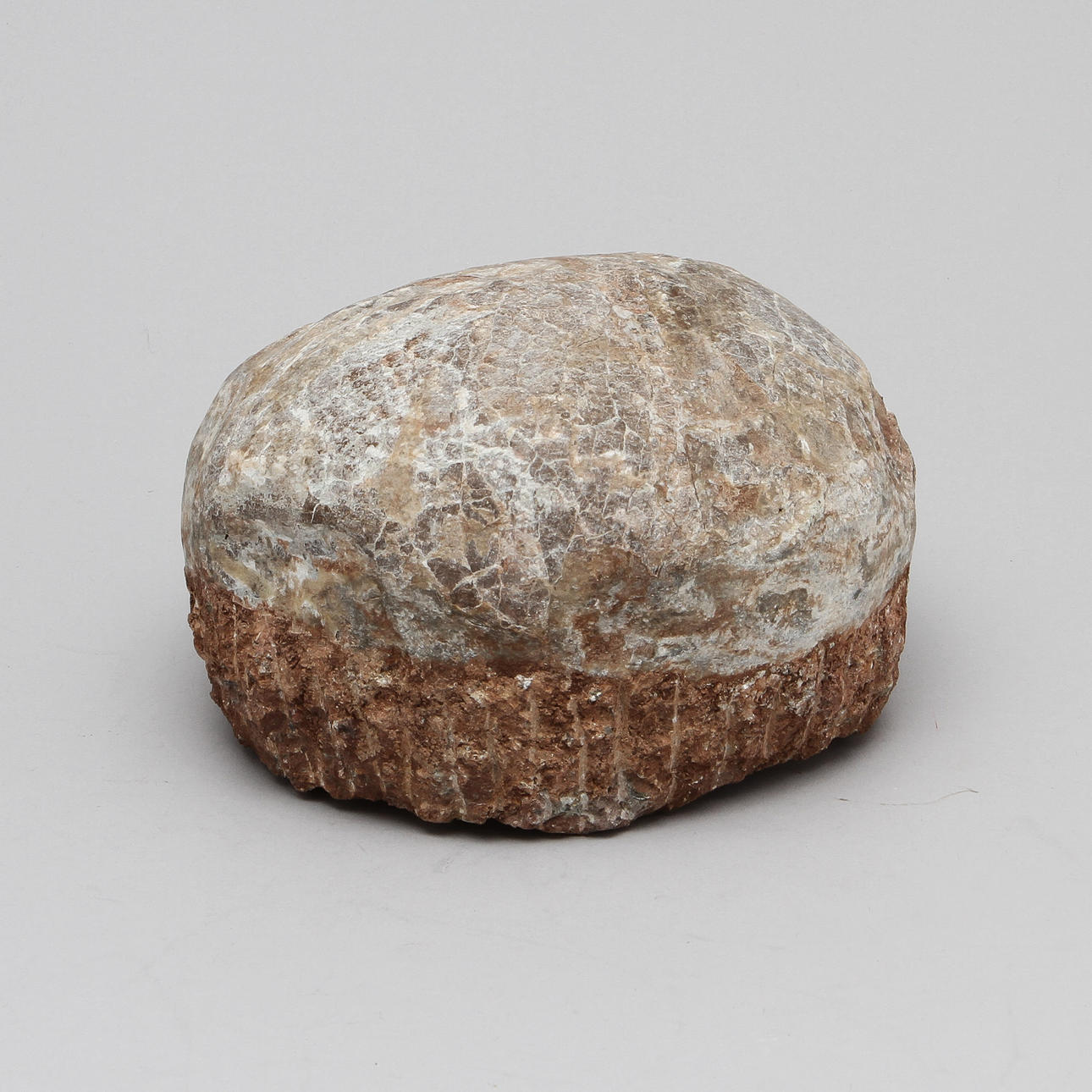 DINOSAURIEÄGG.