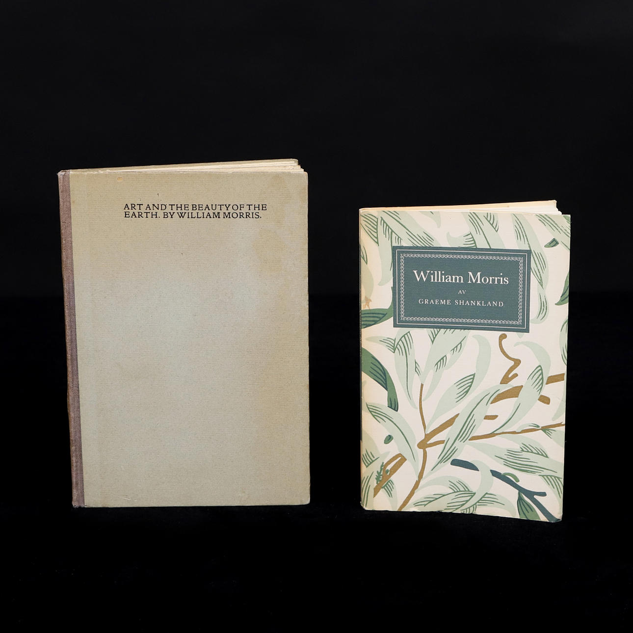 BÜCHER, 2 von und über William Morris.