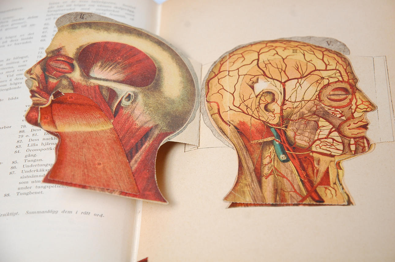 LÄKARBOKEN, " Hemmets läkarebok " med pappersfigurer.