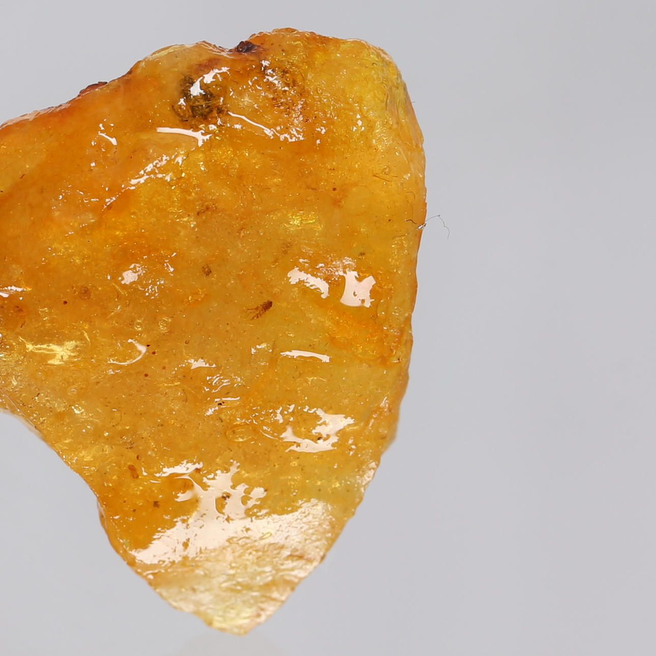 BERNSTEIN, Insekt, ca. 19,70 ct.