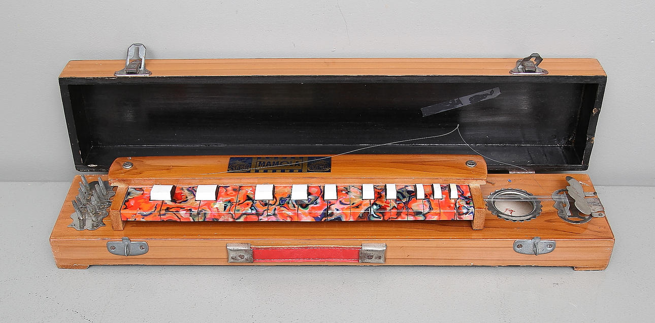 BULBUL TARANG, Mamola, India.