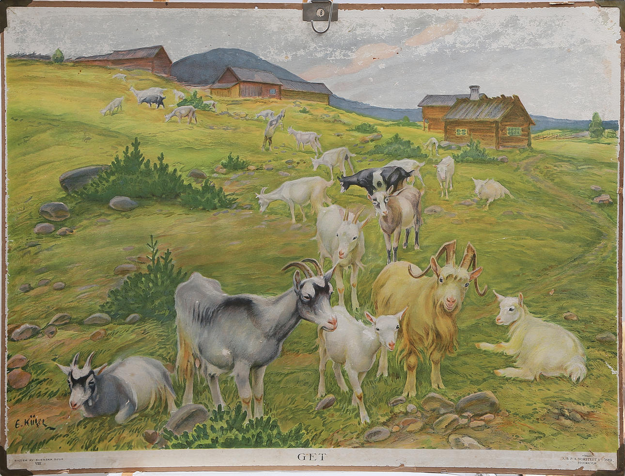 SCHOOL PLANSCH, Goat, cardboard, 1900s.