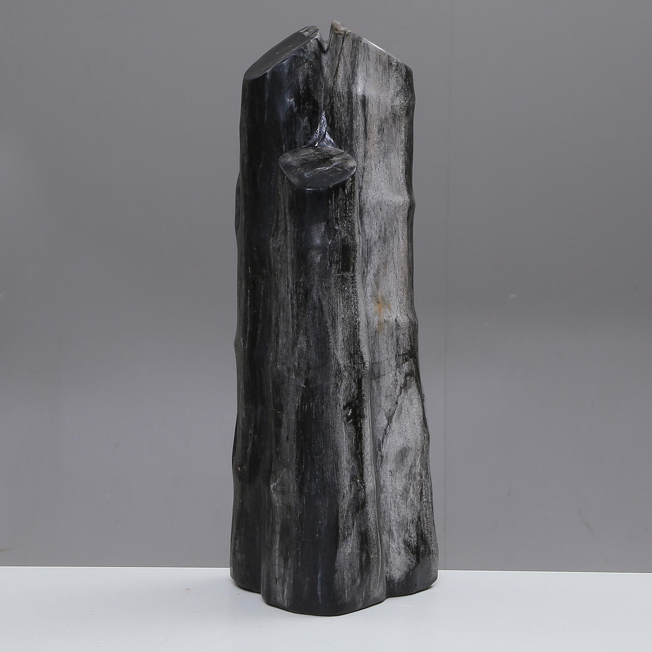 SKULPTUR, fossiler, versteinerter Bambus, 5 - 10 Millionen Jahre alt. Kunst  - Bildhauerkunst - Auctionet