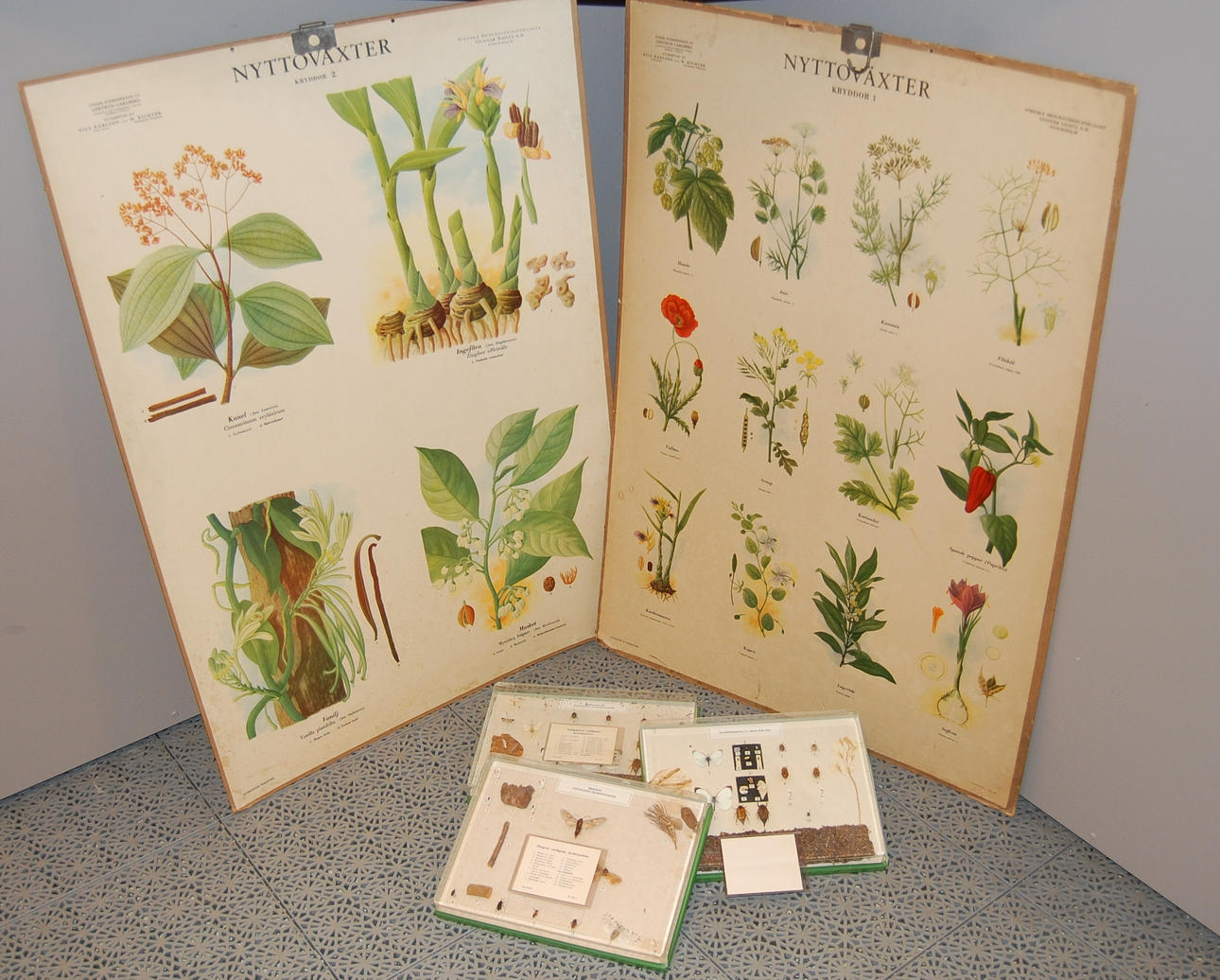 PARTI SKOLFÖREMÅL, karta över London, äldre planscher och insekter.