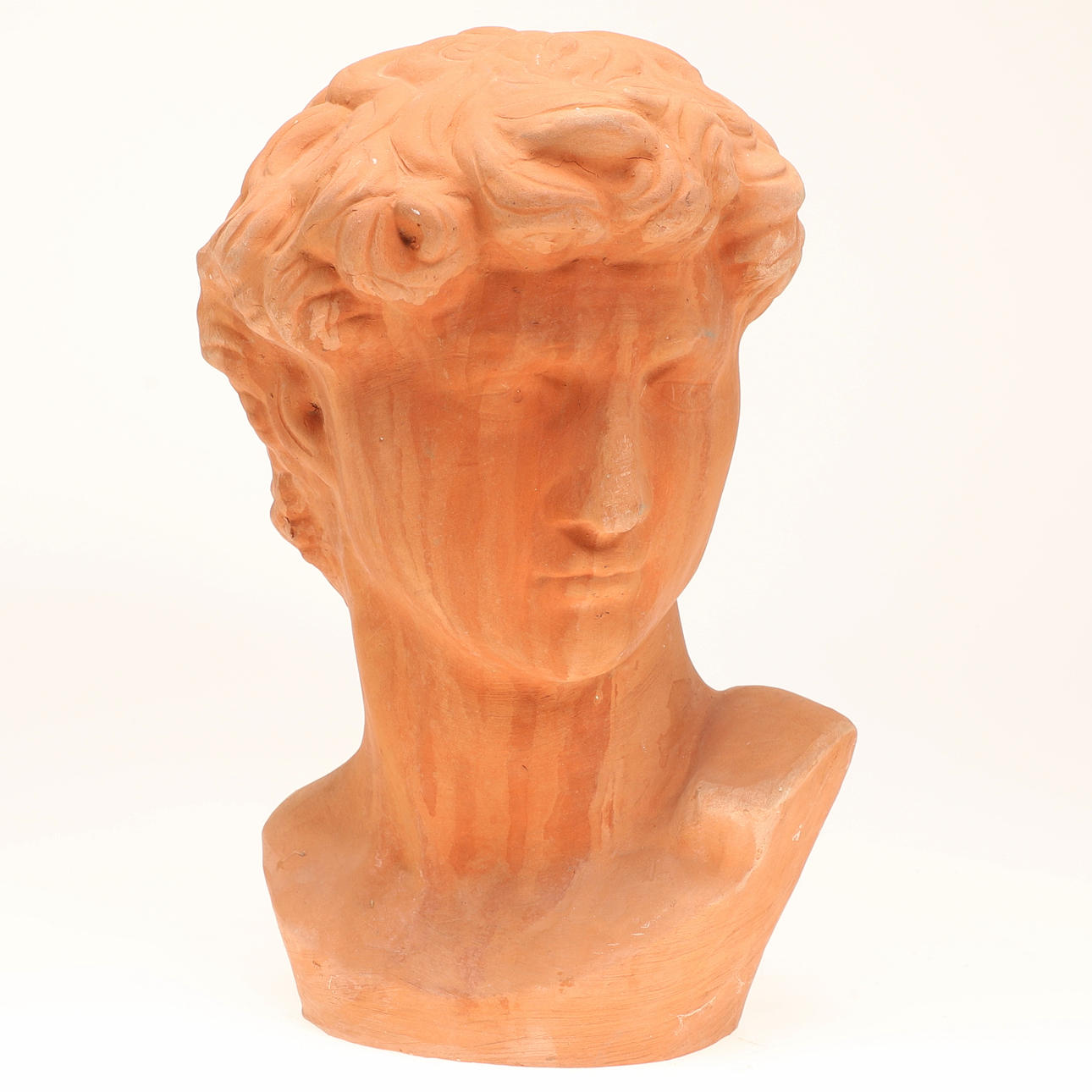 Escultura, busto de David, arcilla.
