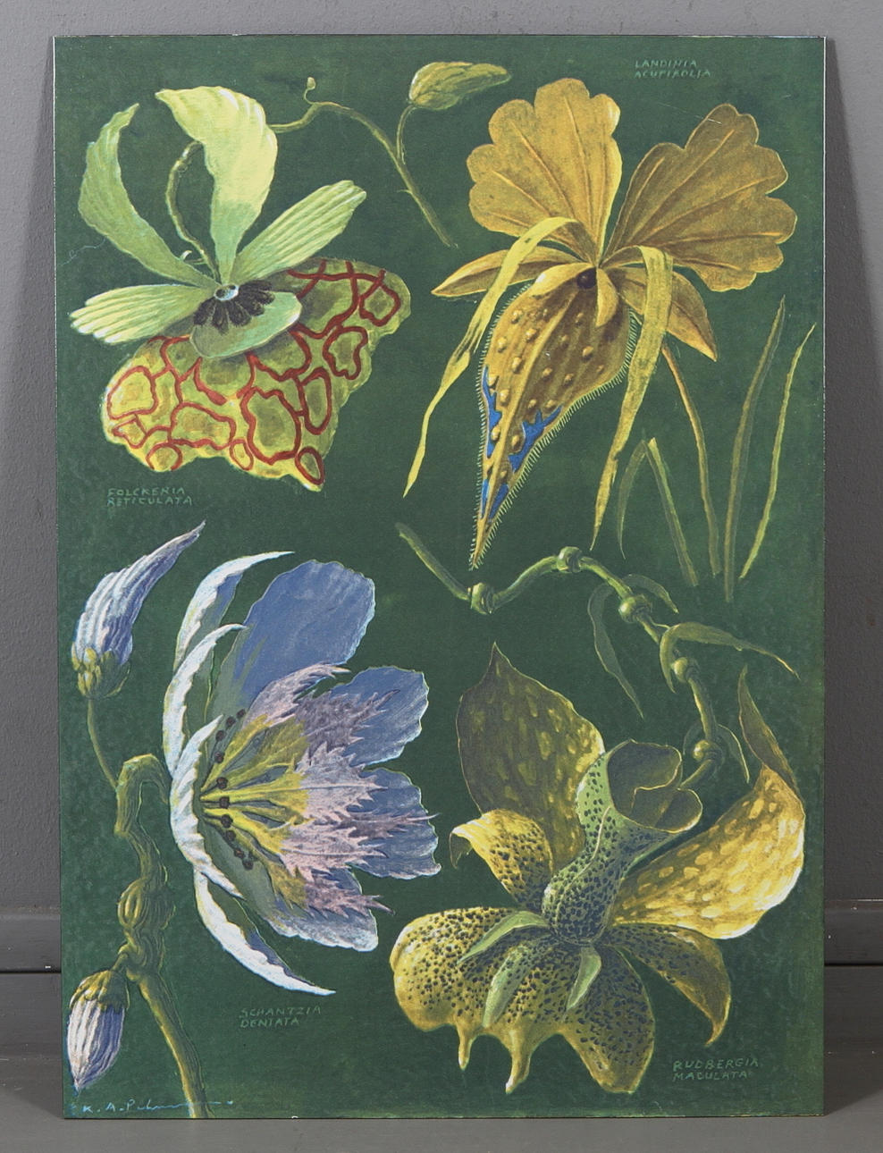 KARL AXEL PEHRSON. Tryck på emalj, signerad i plåt.