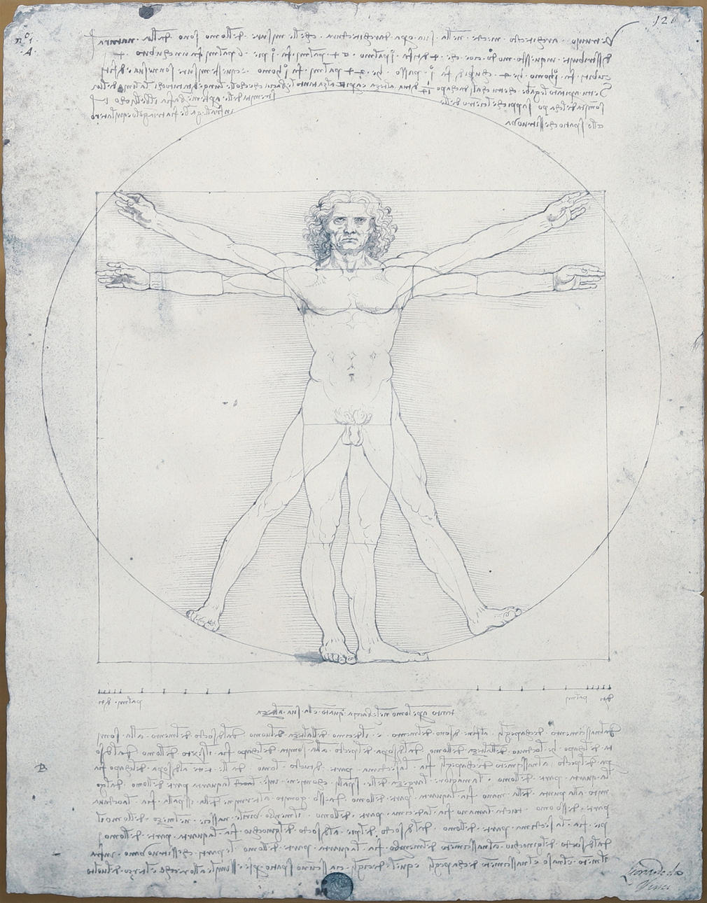 AFFISCH, Vitruvianske mannen, Leonardo da Vinci.