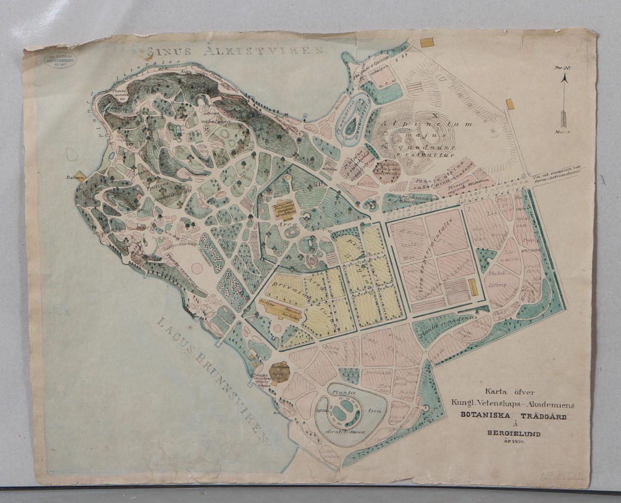 KARTA över Kungl. Vetenskapsakademiens Botaniska Trädgård och Bergielund, 1900.