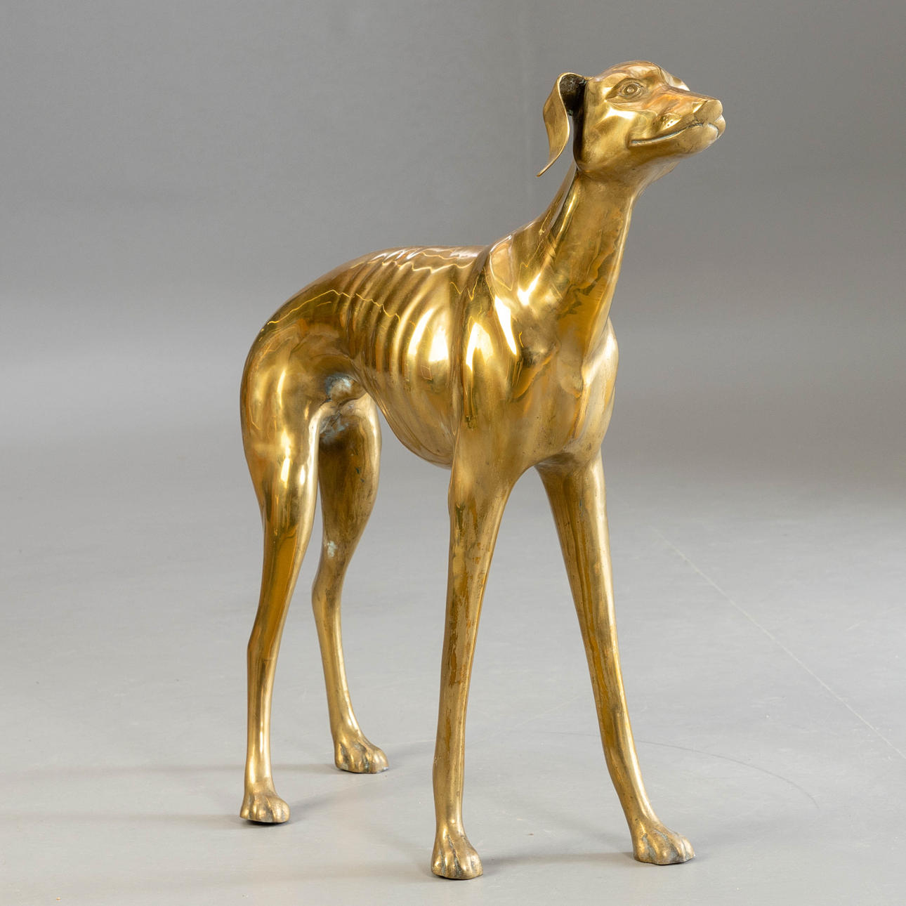 Großer Greyhound, 20.Jh.