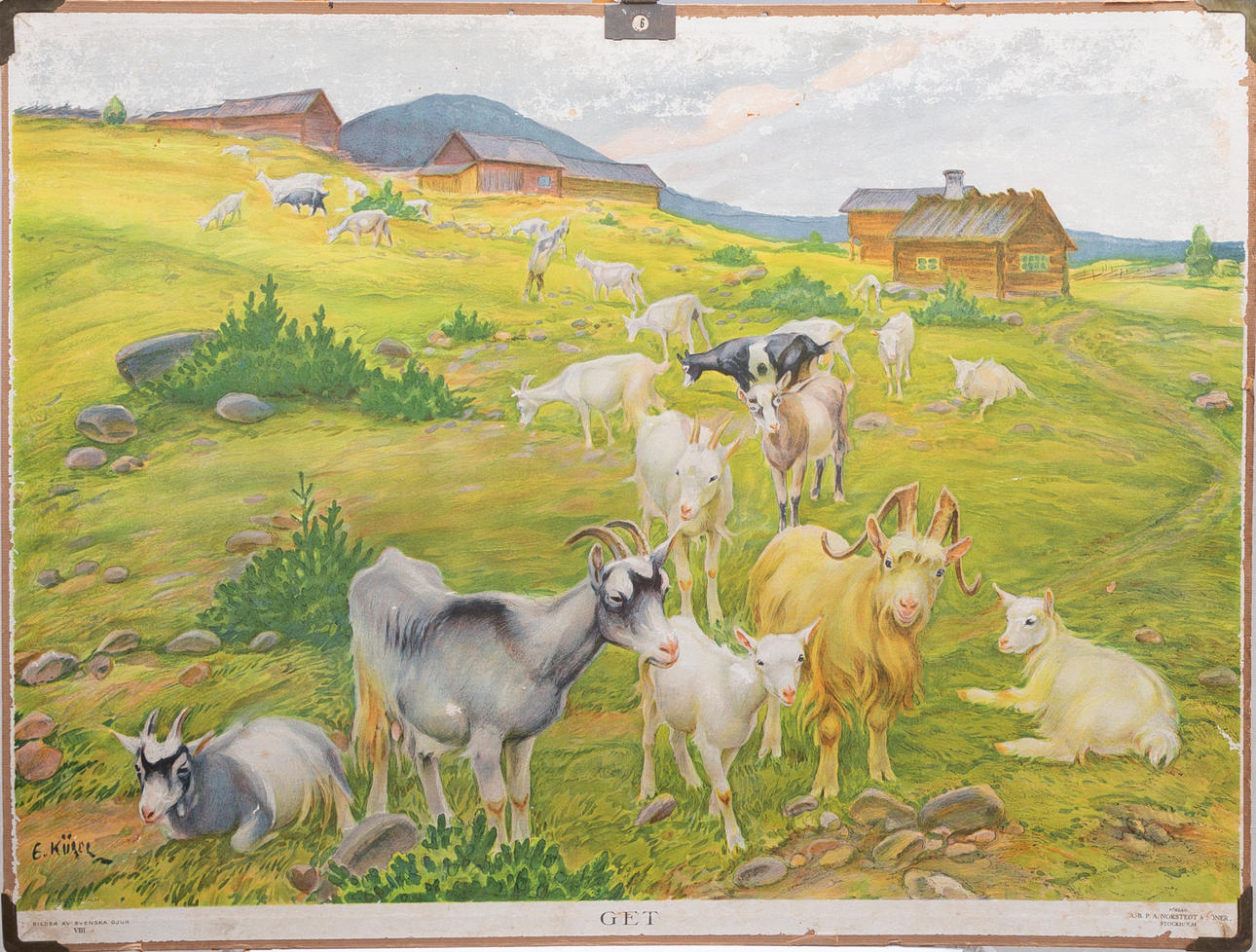 SKOLPLANSCH, 1900-tal.