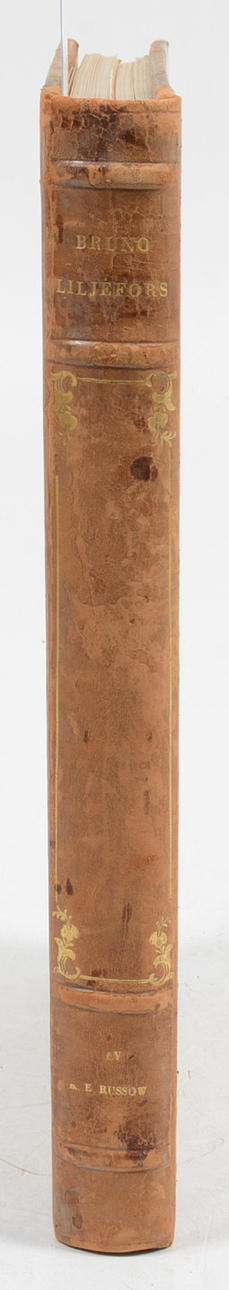 Bruno Liljefors. En studie.