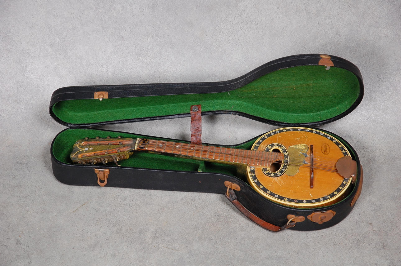 MANDOLIN, Catania.