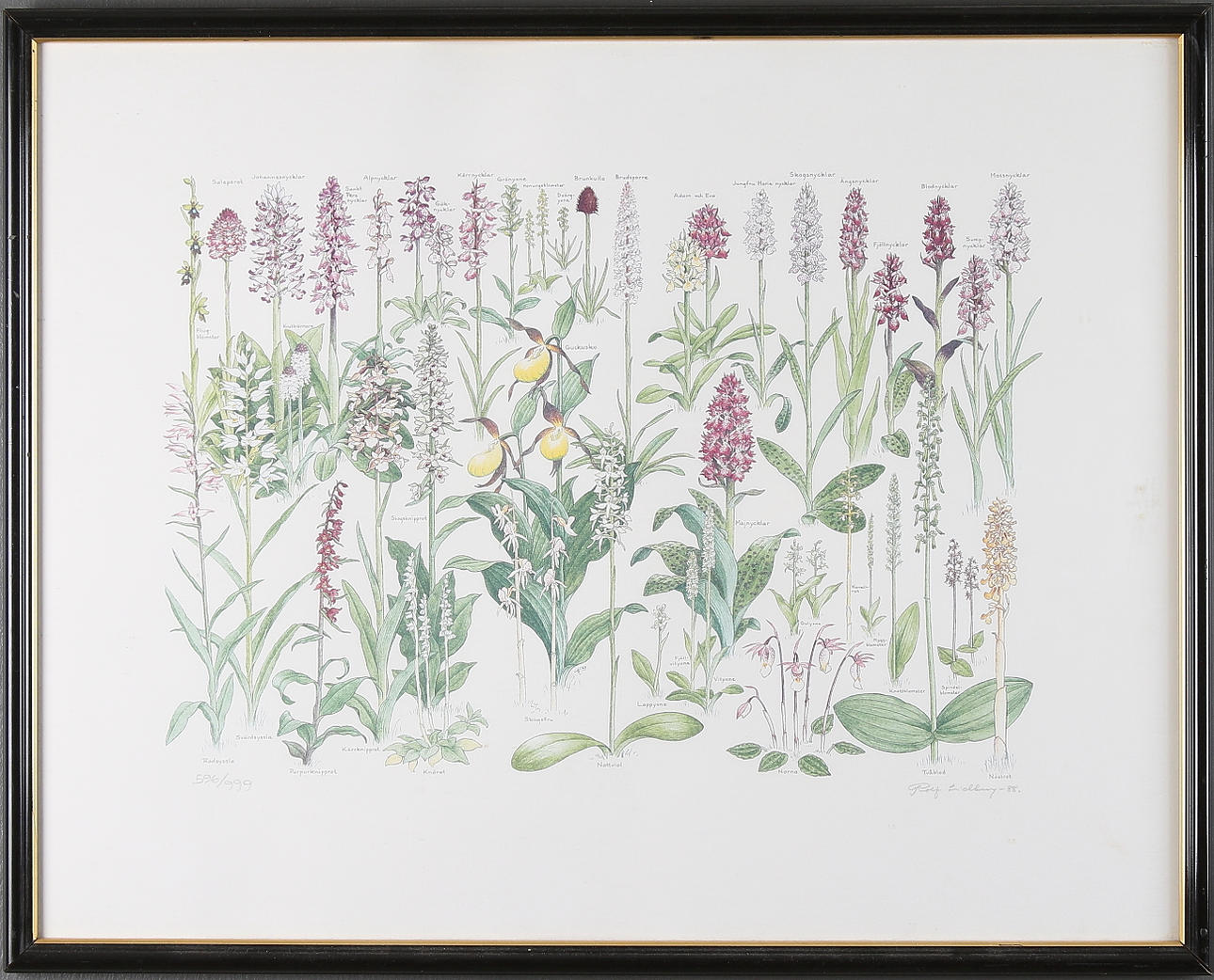 ROLF LIDBERG. Serigrafi, signerad, numrerad 596/999 och daterad -88.