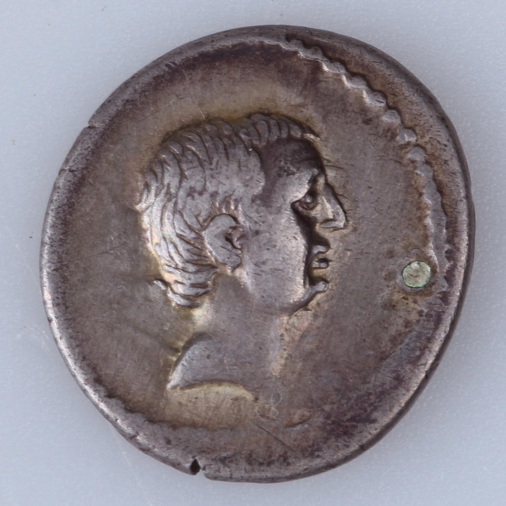 MYNT, silver, denar, Livineius Regulus, 42 f.kr.