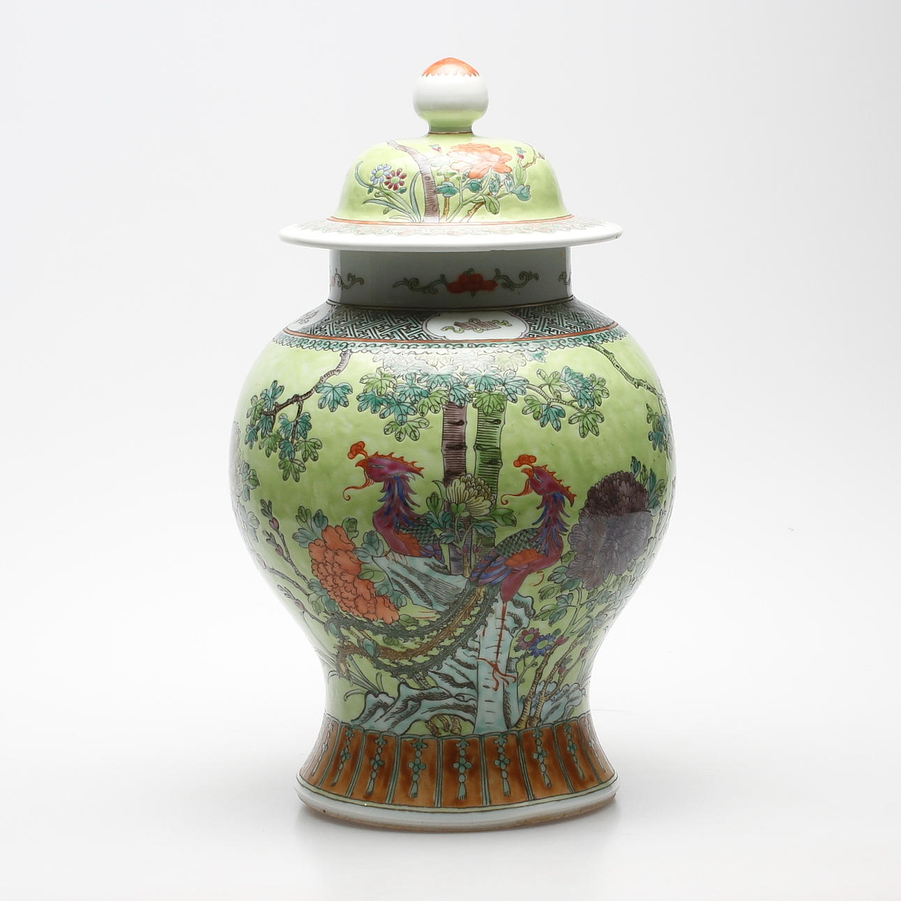 LOCKURNA, ostindisk, Famille verte.