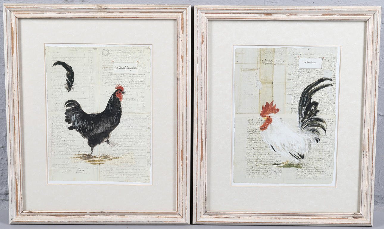 COLOMBIA & LA CROAD LANGSHAN.