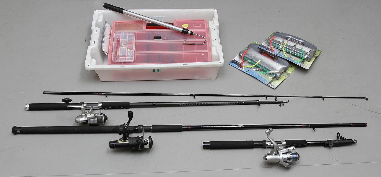 FISKEUTRUSTNING, 1900-tal.