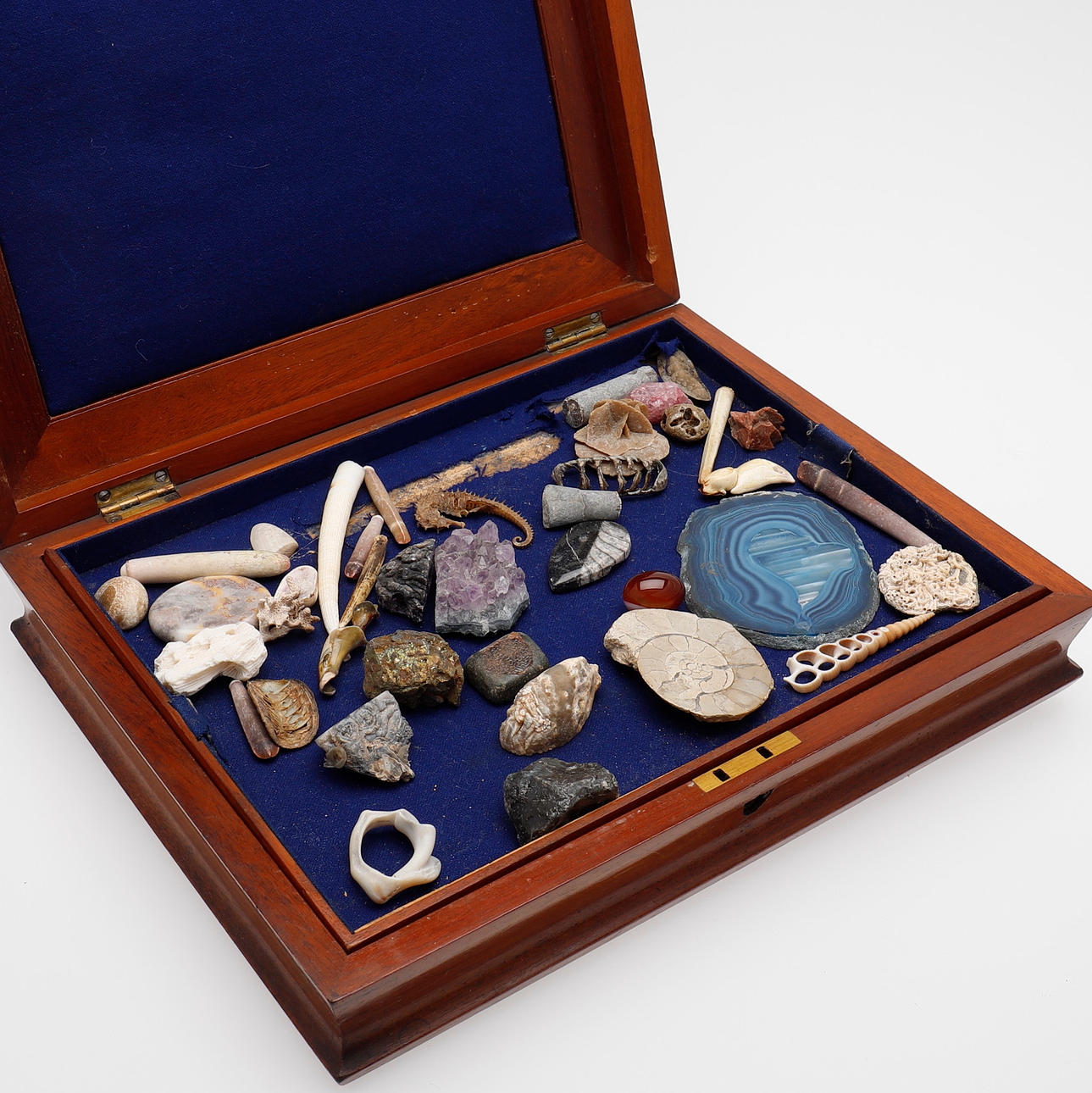 SAMLING AV NATURALIER MED MERA.