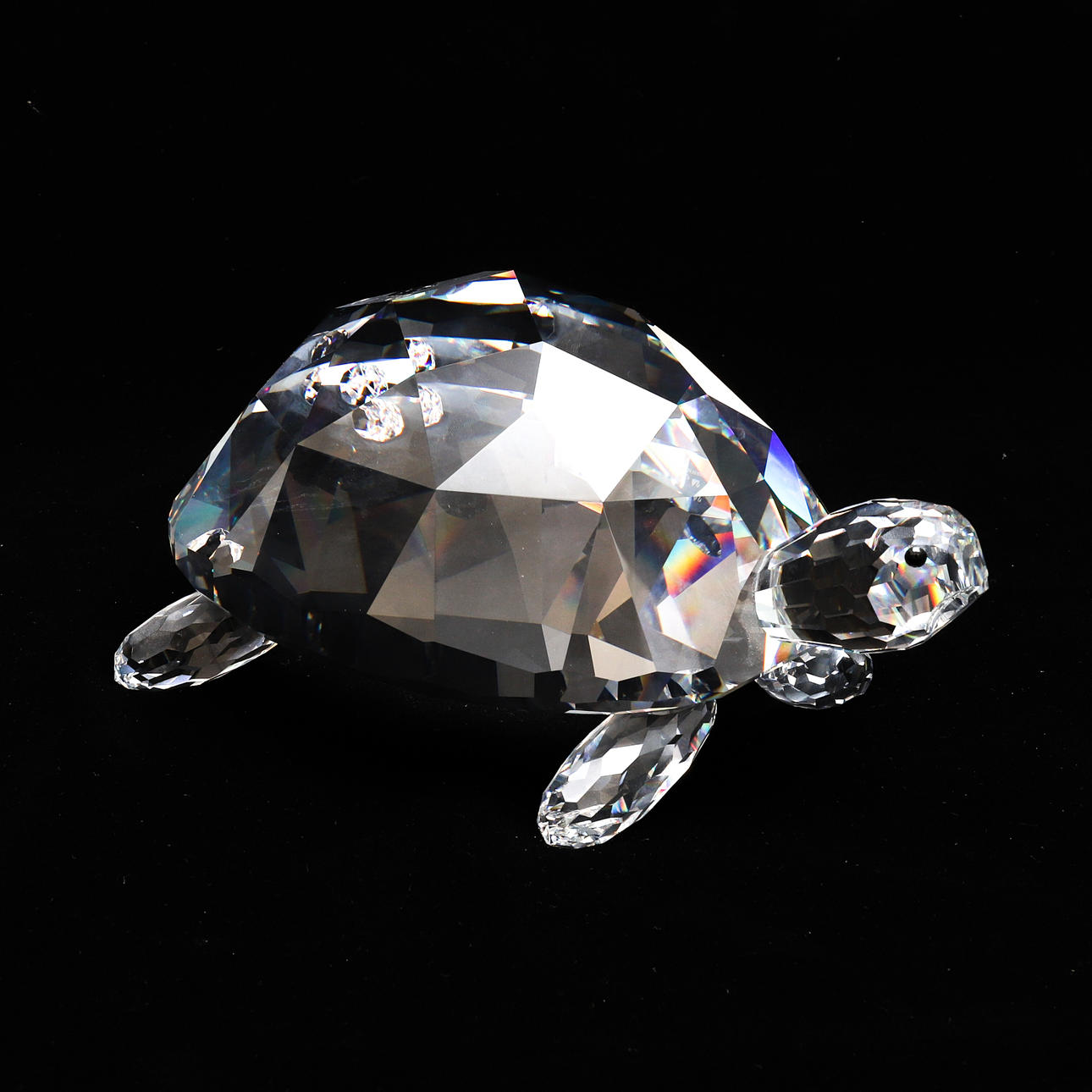 SWAROVSKI: GIANT TURTLE / GIANT TORTOISE.