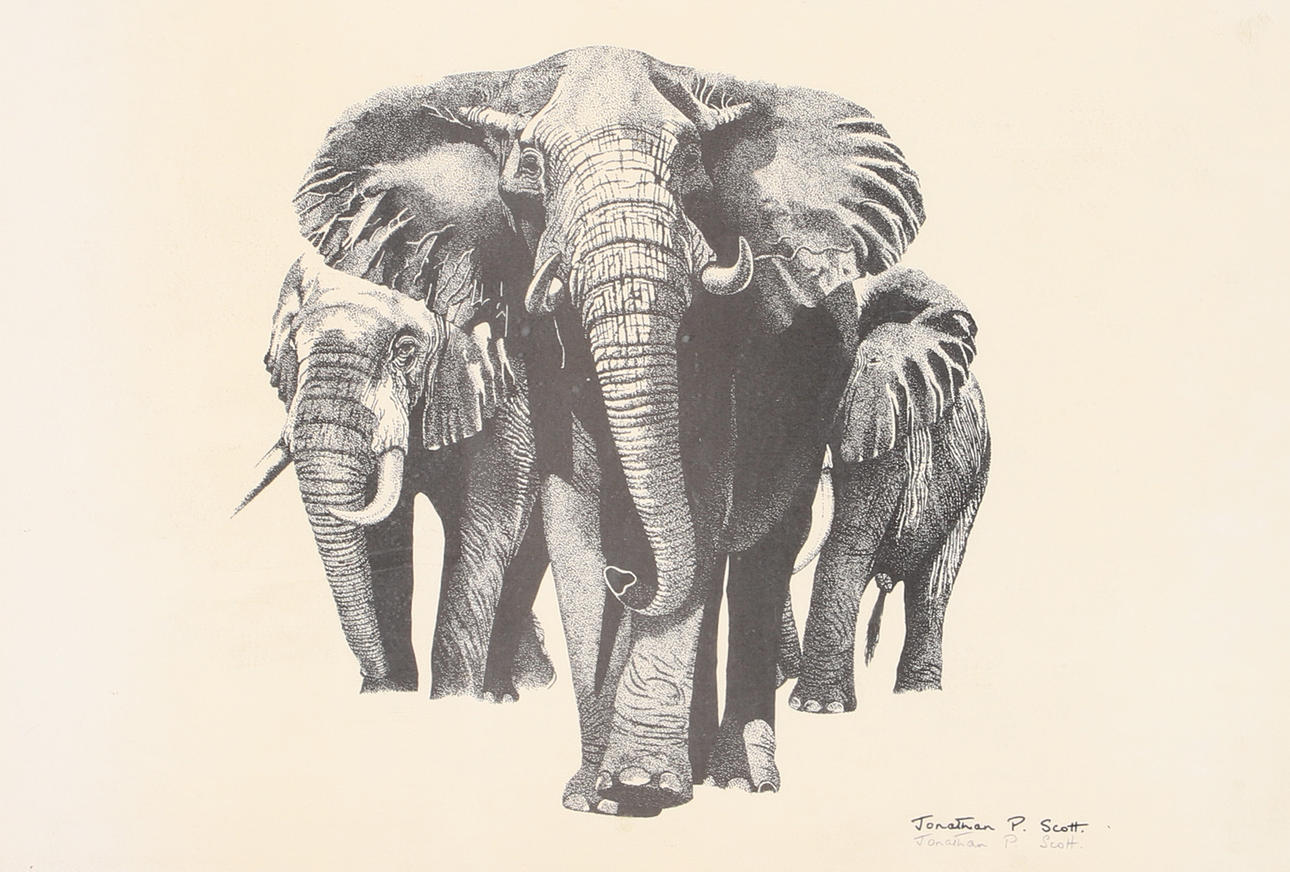 JONATHAN PRESTON SCOTT. Elephants, signed print.
