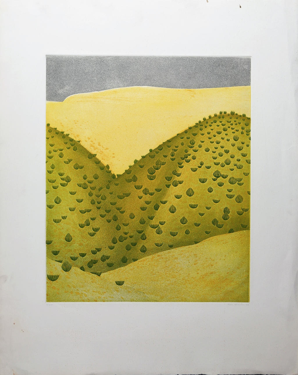 ROSA BIADIU. Landscape.