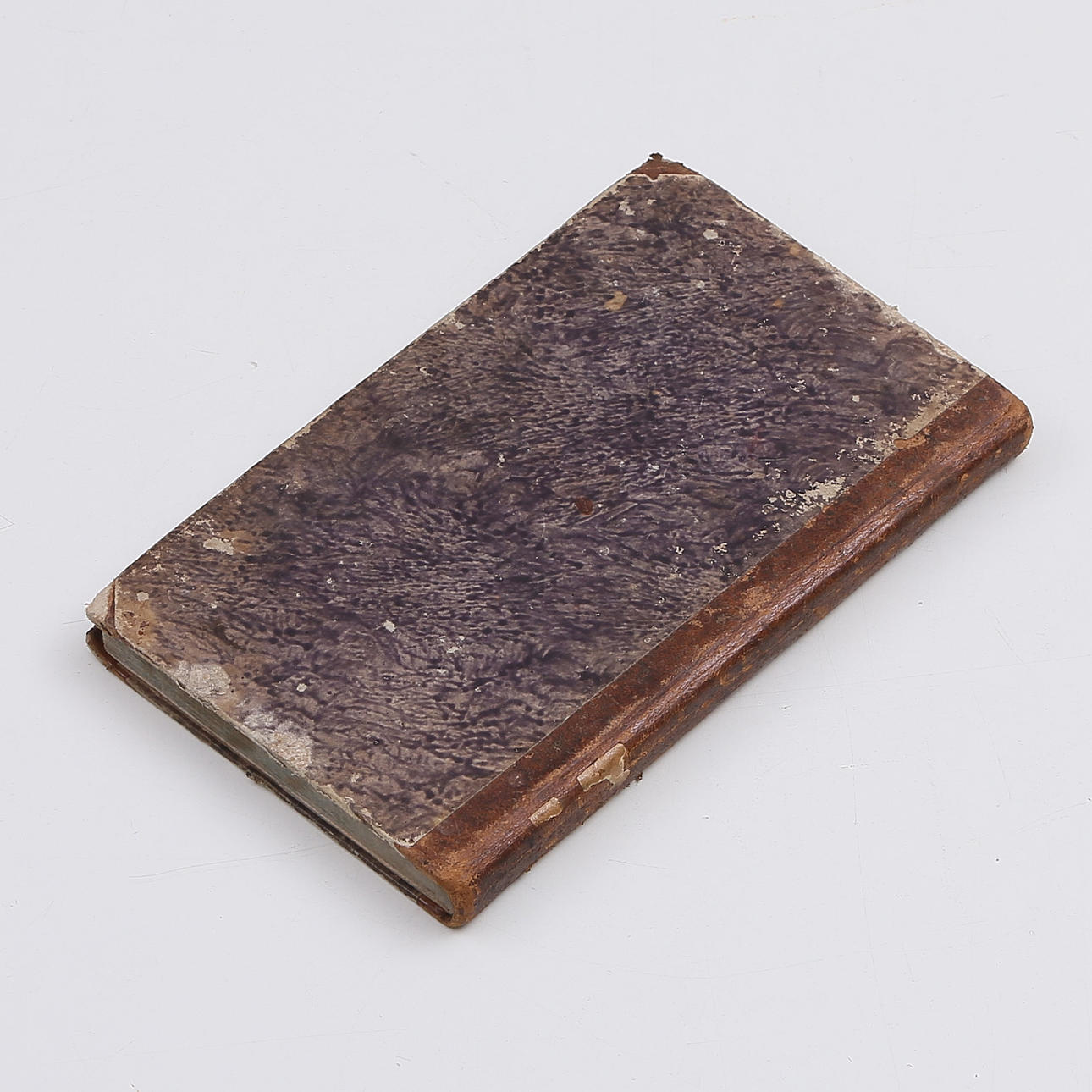 BUCH, Erasmus von Rotterdam, 1830.