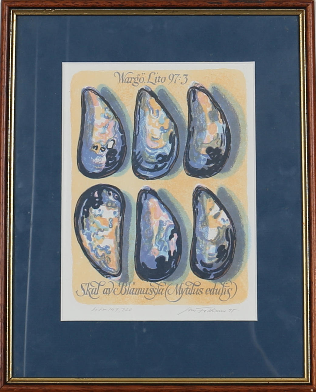 JAN FALKMAN. Färglitografi "Blåmussla" Signerad Jan Falkman. Daterad -95.