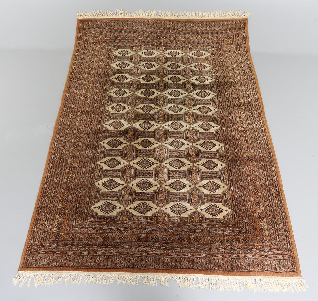 MATTA, ull, Belgien.