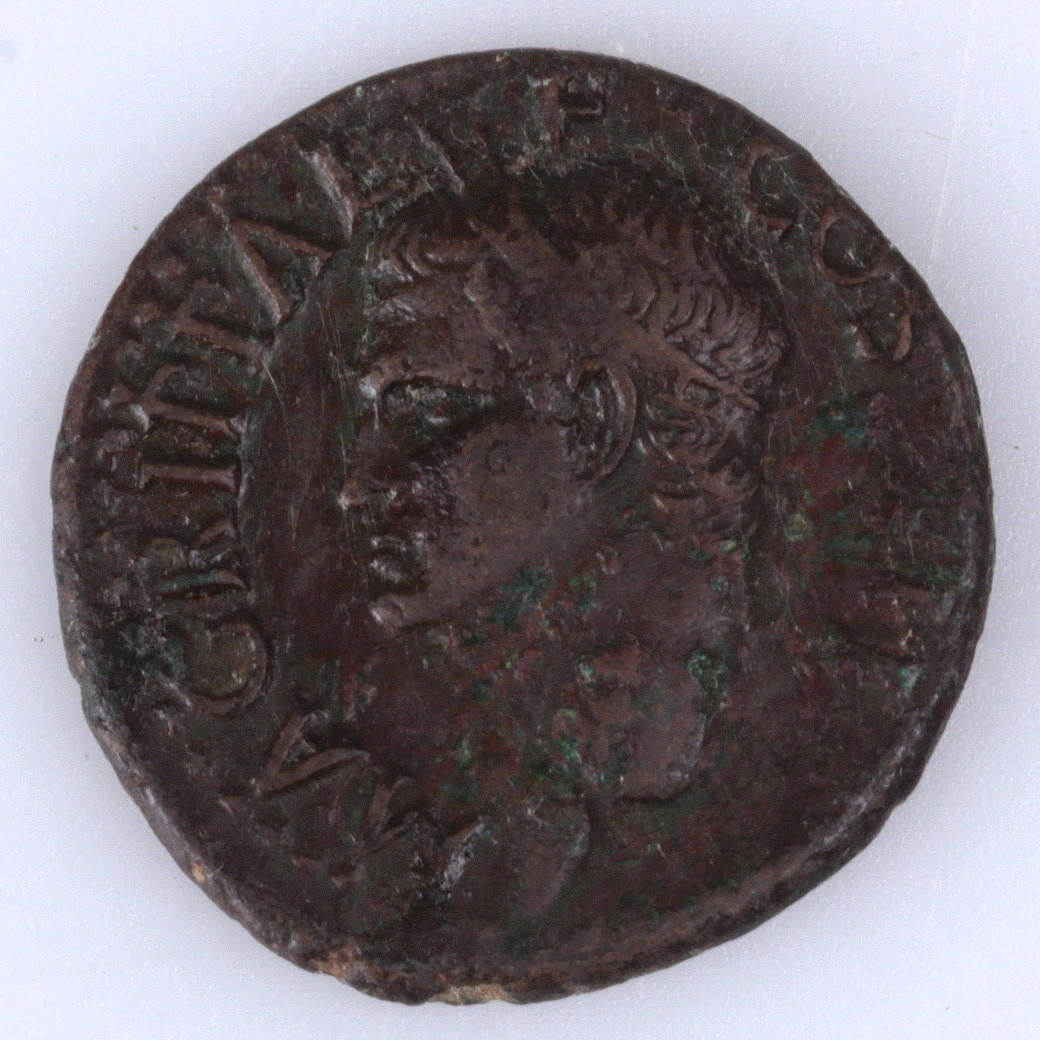 MYNT, koppar, as, Agrippa.