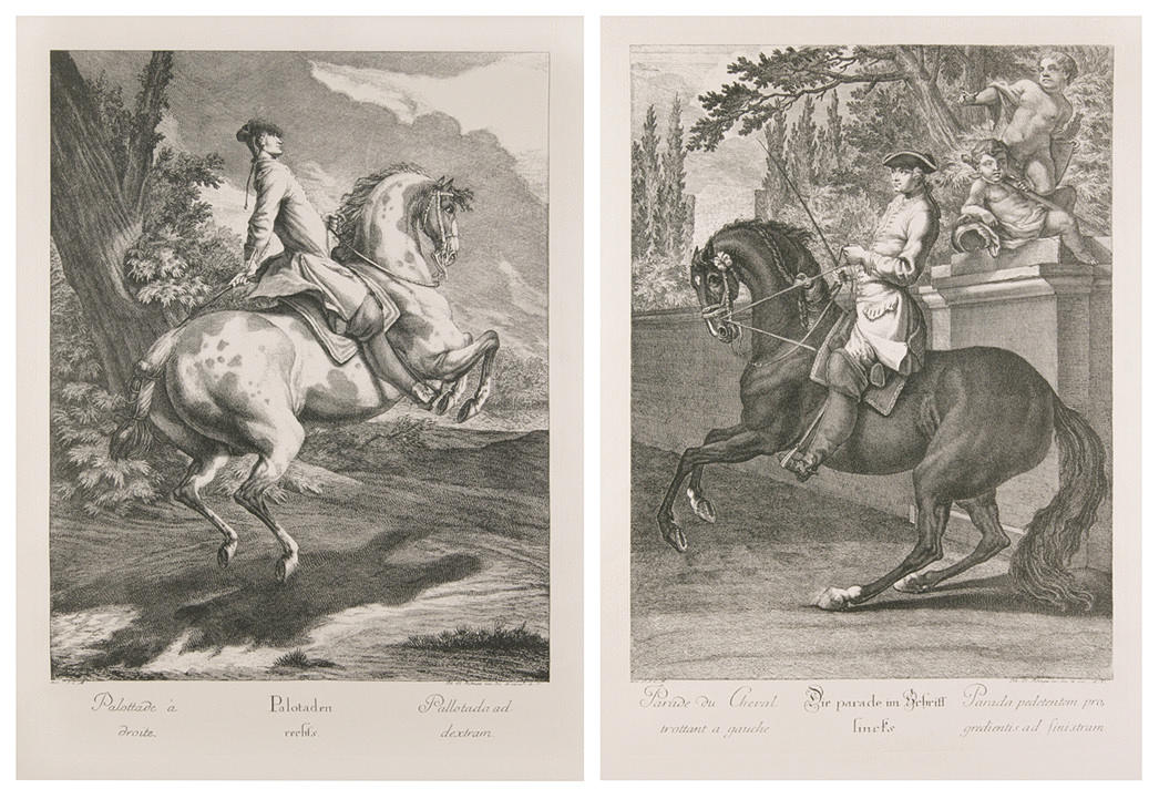 SAMLING AV 4 ETSNINGAR ”Equestrian porträtt”.