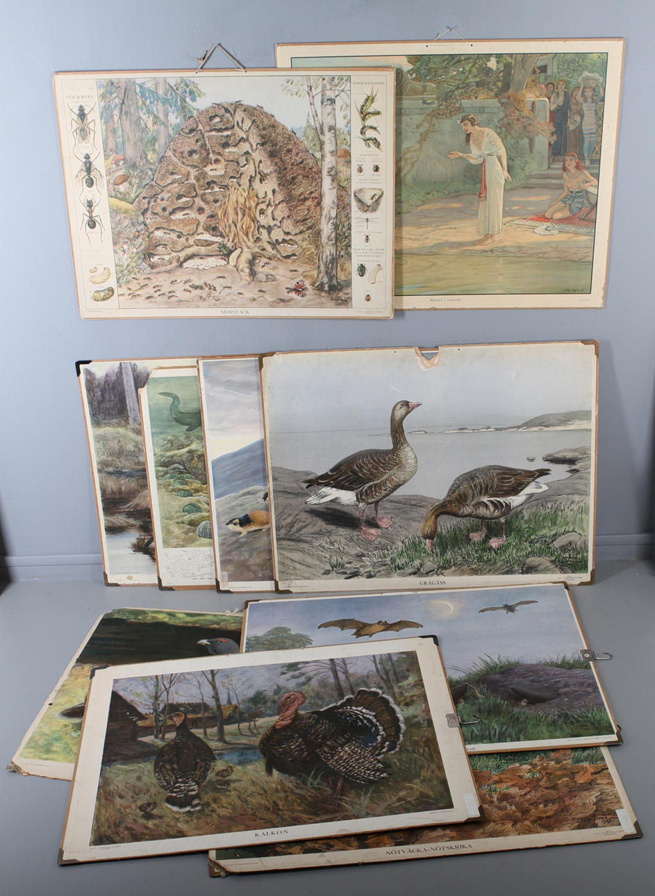 PARTI SKOLAFFISCHER, 10 st, Omkring 1900-talets mitt.