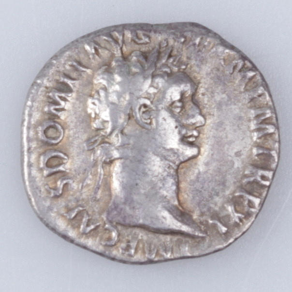 MYNT, silver, denar, Domitianus 81-96 e.kr.