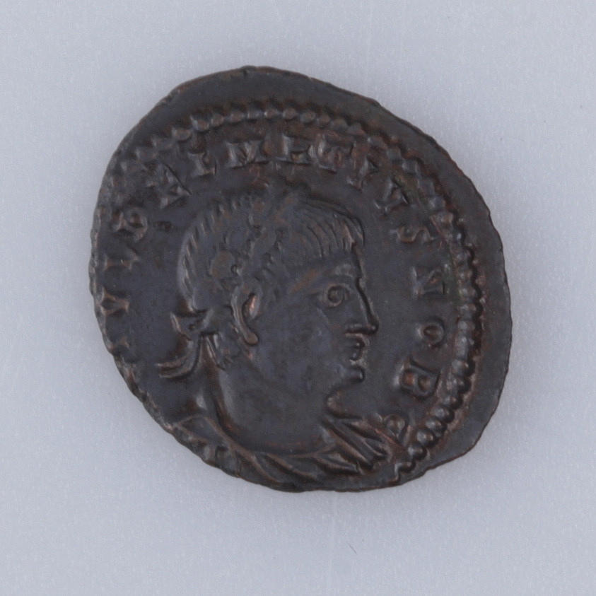 MYNT, brons, ae, Delmatius, kejsare 335-337 e.kr.