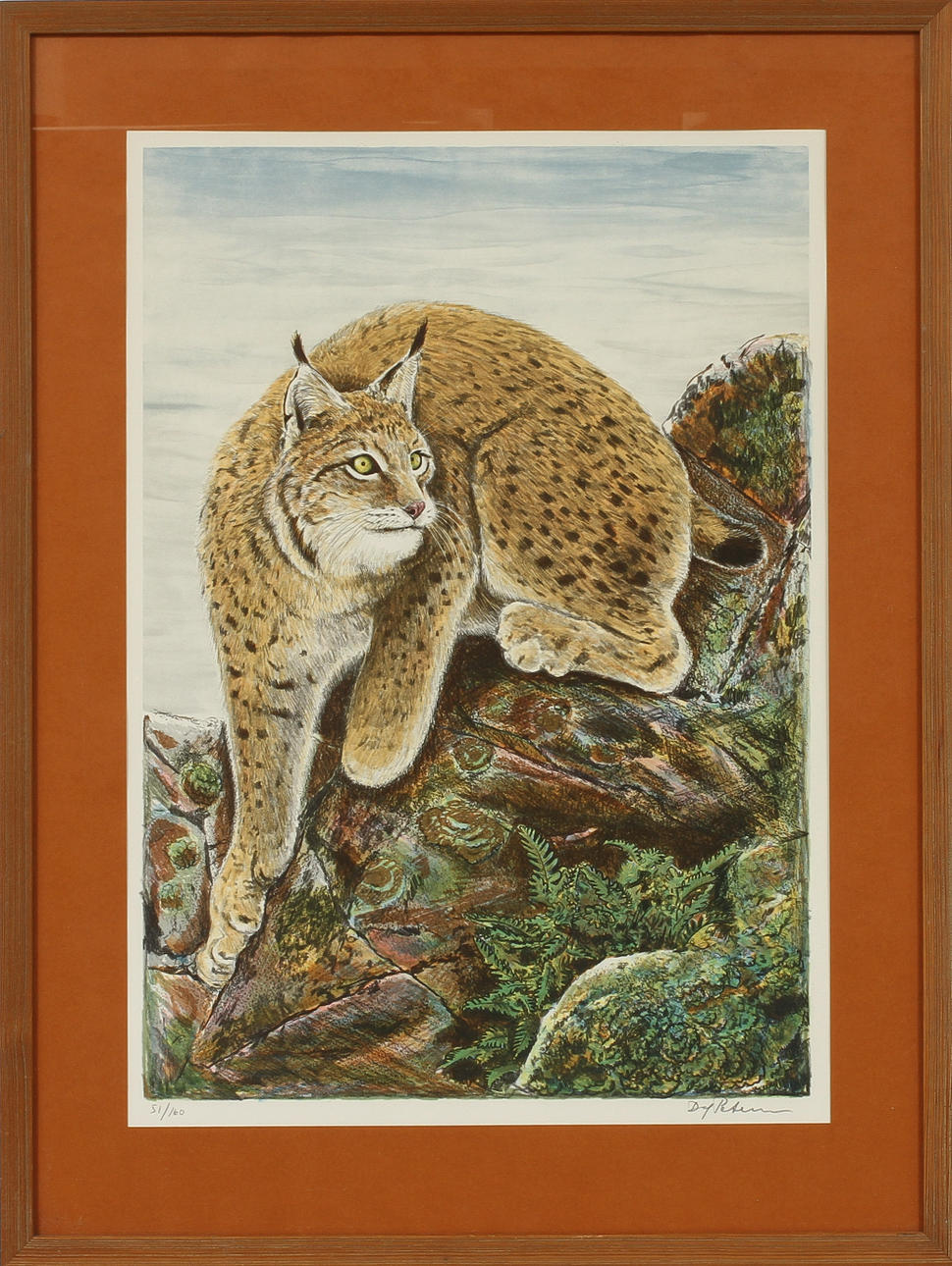 DAG PETTERSSON. Färglitografi, signerad och numrerad 51/160. Lodjur.