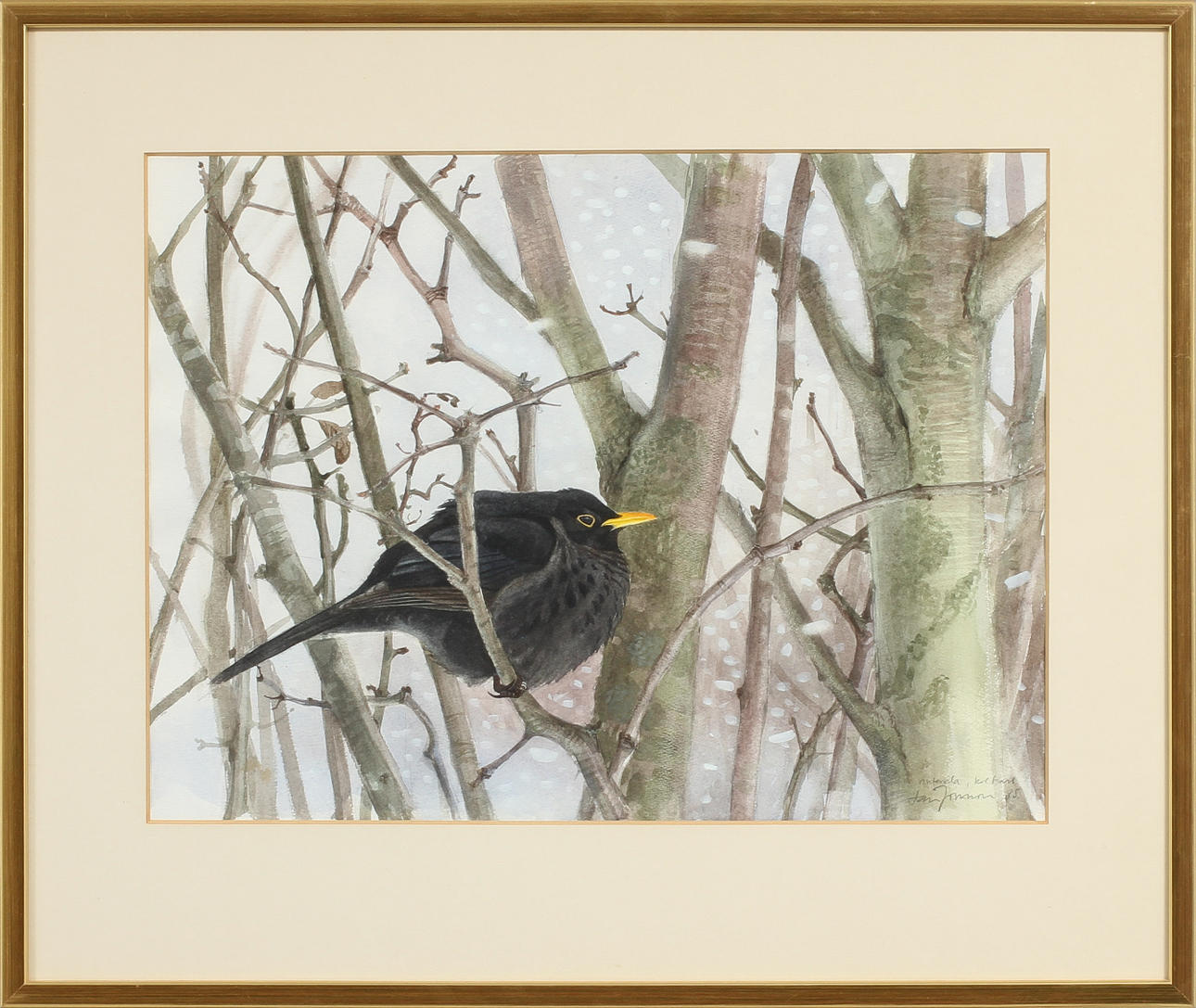 LARS JONSSON. "Vintervila, koltrast", akvarell.