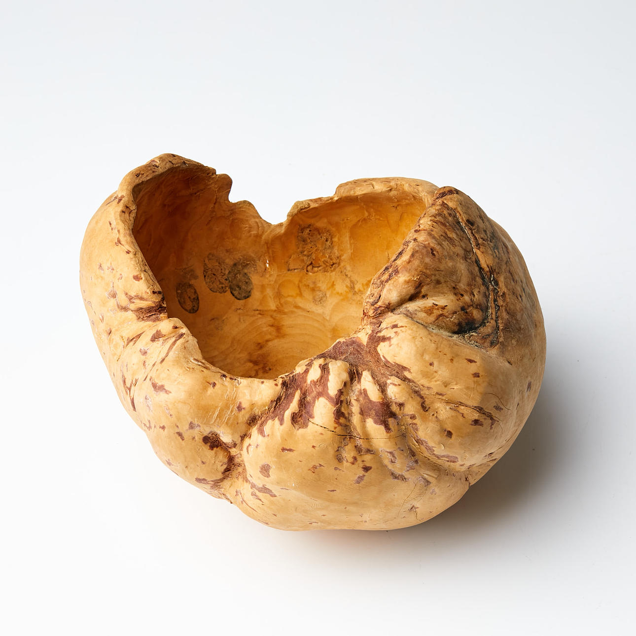 BJÖRKVRIL, 1900-talets mitt.