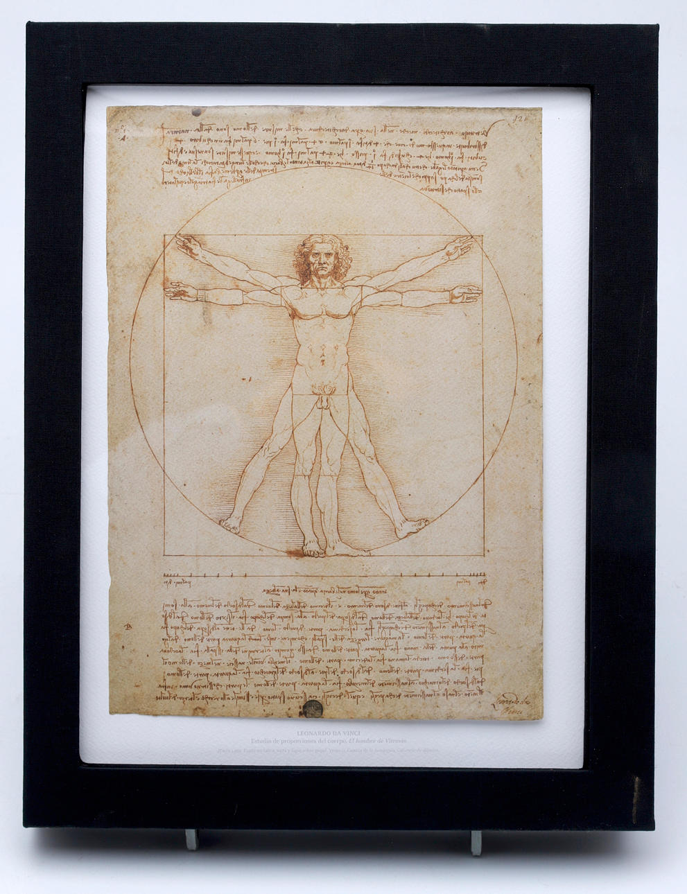 LEONARDO DA VINCI. EFTER. "Den vitruvianske mand".