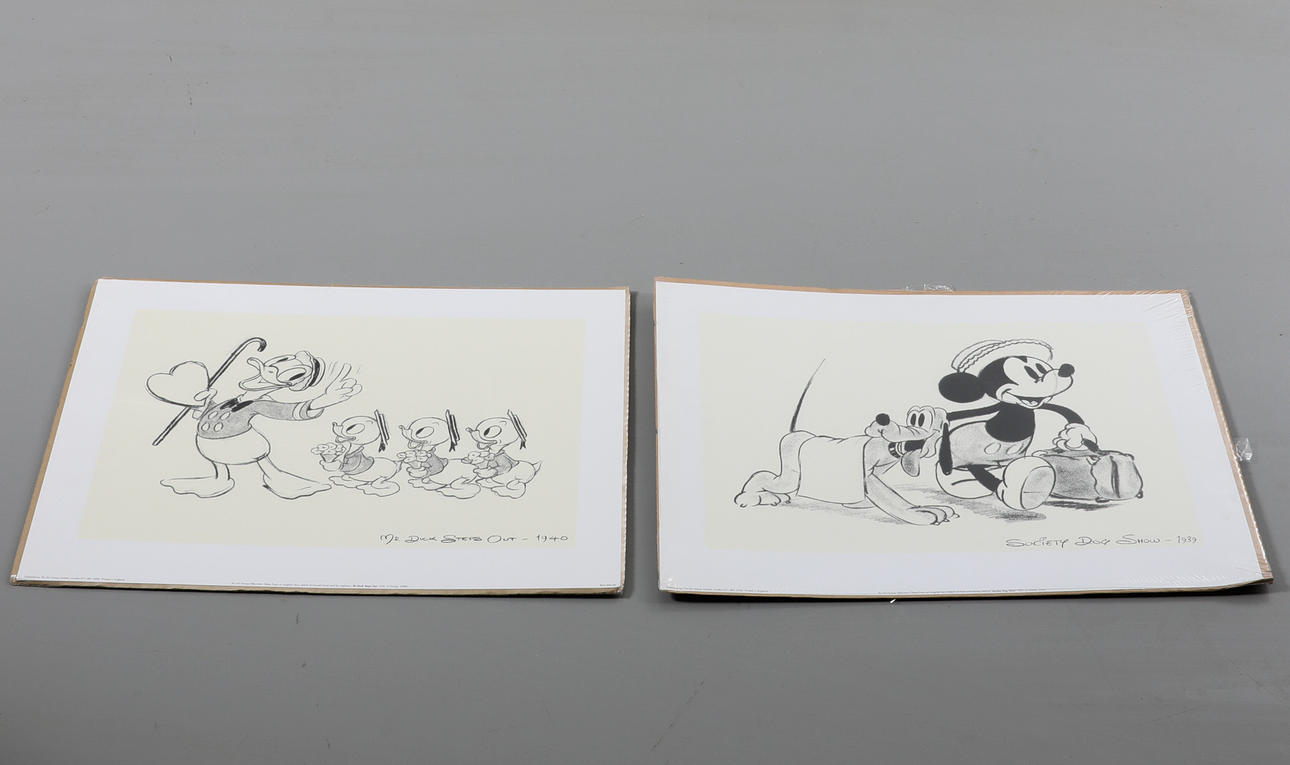 PRINT, 2 pieces, Ikea, screen print from Disney original.
